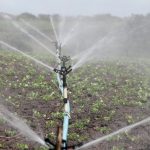 Imagen de: Evapotranspiration and commercial irrigation measures